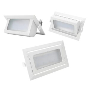 IP40 Luigi Rectangle Tilt Downlighter