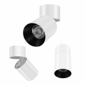 IP20 Pakman 3CCT LED Tilt Round Downlighters